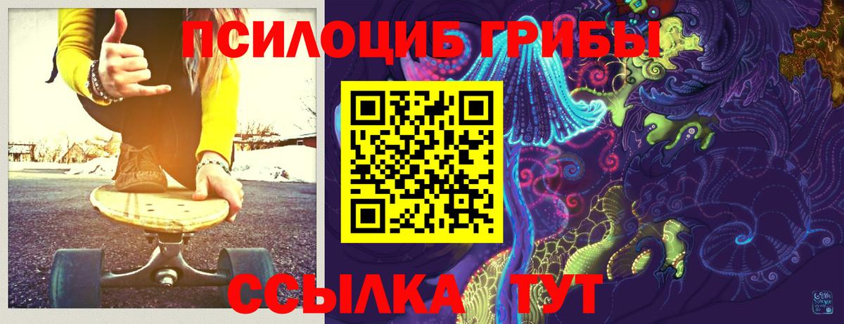 Псилоцибиновые грибы Psilocybine cubensis Аргун