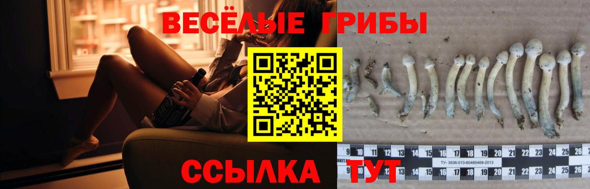 Псилоцибиновые грибы ЛСД  Вход с VPN  Аргун  Галлюциногенные грибы Magic Shrooms 